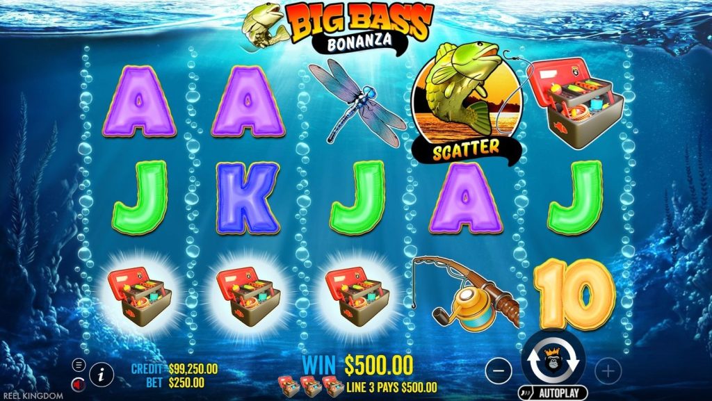 A Step-by-Step Guide to Activating Your Big Bass Bonanza Codes